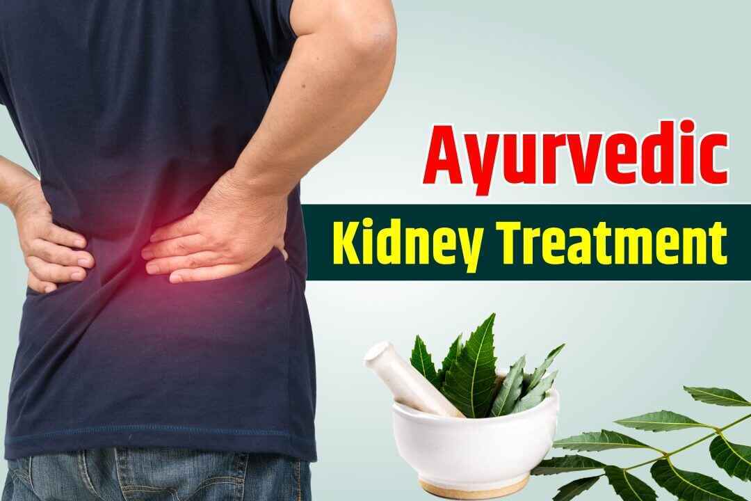 Ayurvedic Kidney Treatment